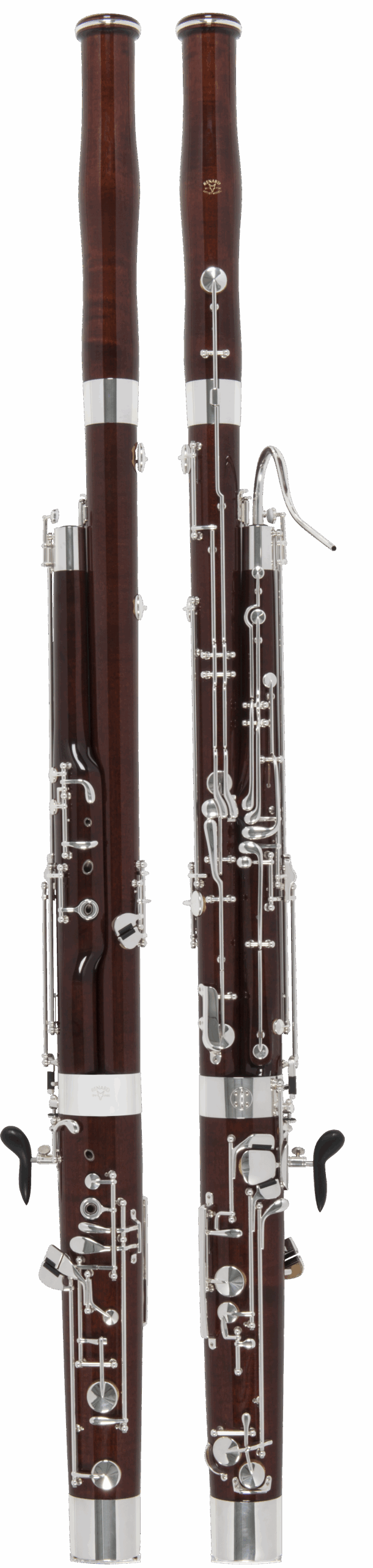 Model 240 Front & Back